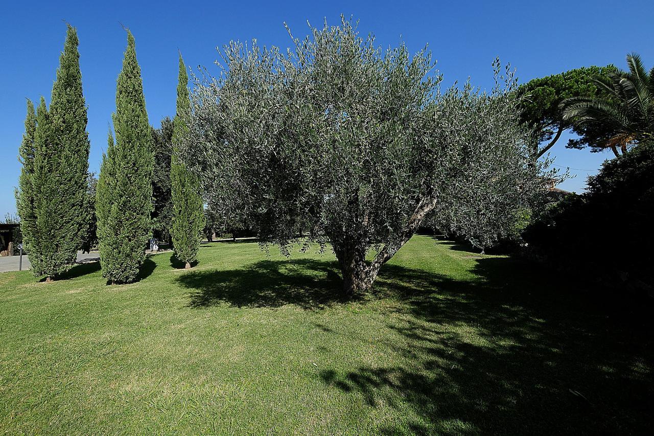 Agriturismo Il Pelago กัสตาลเญโต การ์ดุชชี ภายนอก รูปภาพ